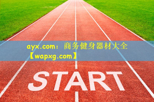 ayx.com：商务健身器材大全