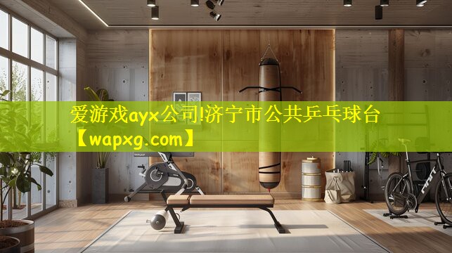 爱游戏ayx公司!济宁市公共乒乓球台