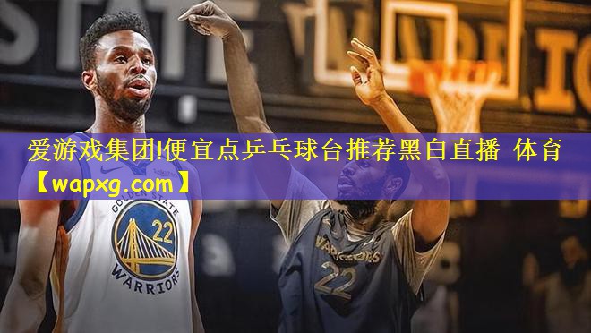 爱游戏集团!便宜点乒乓球台推荐黑白直播 体育