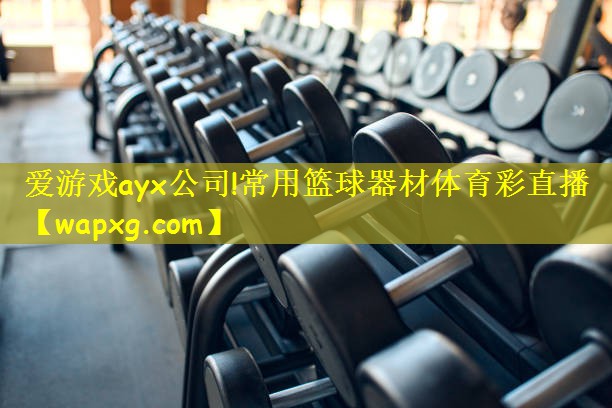 爱游戏ayx公司!常用篮球器材体育彩直播