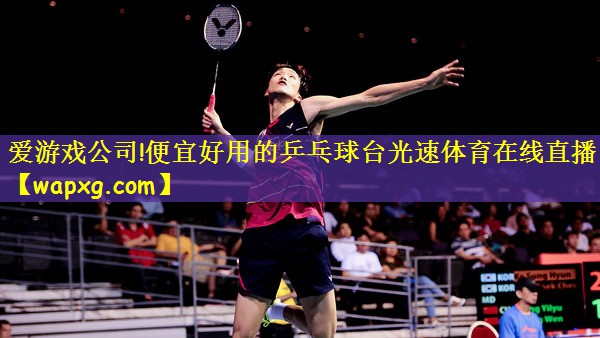 爱游戏公司!便宜好用的乒乓球台光速体育在线直播