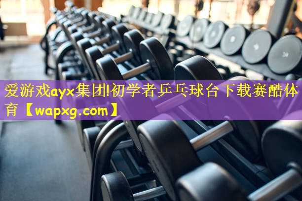 爱游戏ayx集团!初学者乒乓球台下载赛酷体育