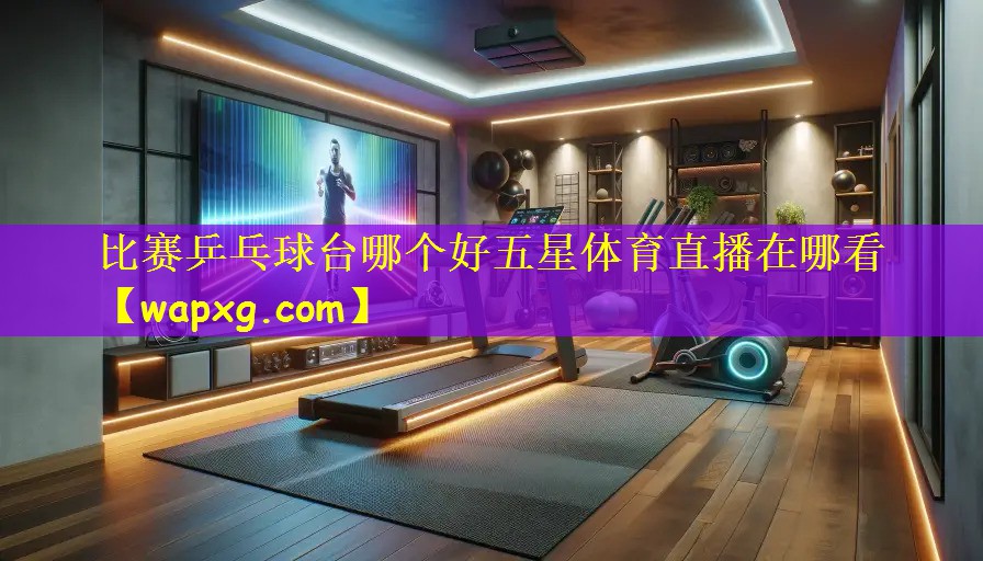 比赛乒乓球台哪个好五星体育直播在哪看