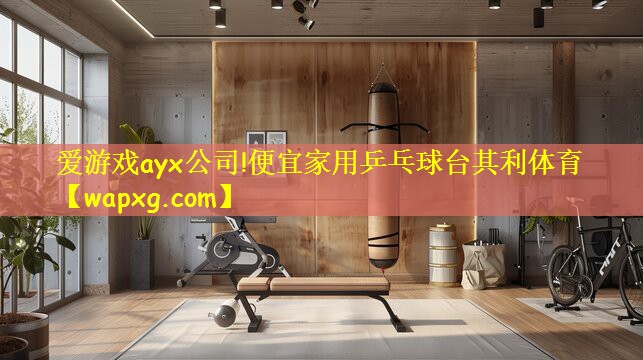爱游戏ayx公司!便宜家用乒乓球台其利体育