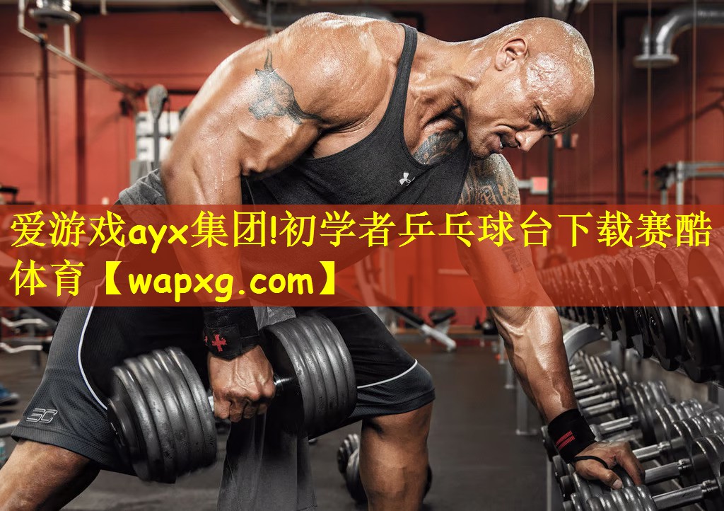 爱游戏ayx集团!初学者乒乓球台下载赛酷体育