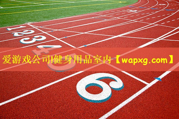 爱游戏公司!健身用品室内