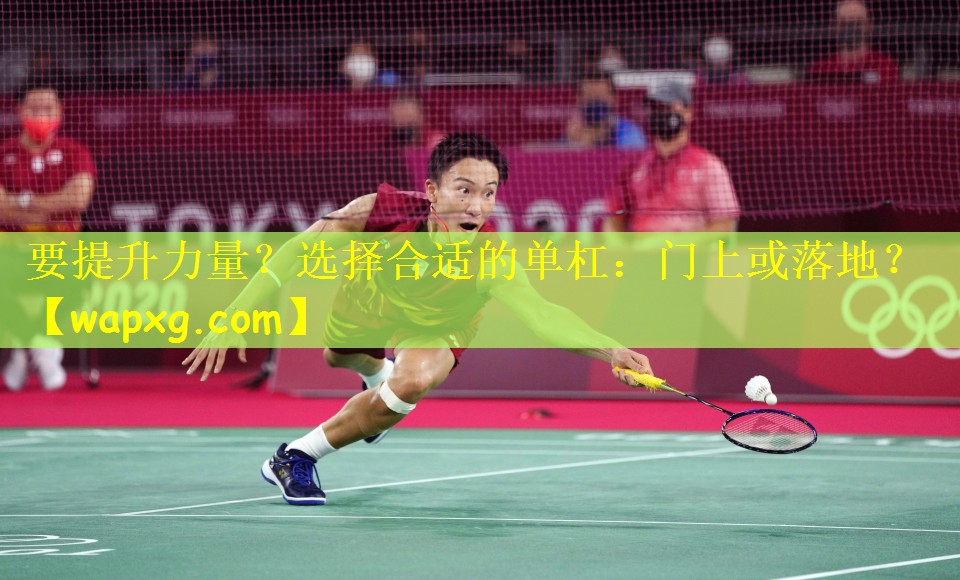 要提升力量？选择合适的单杠：门上或落地？