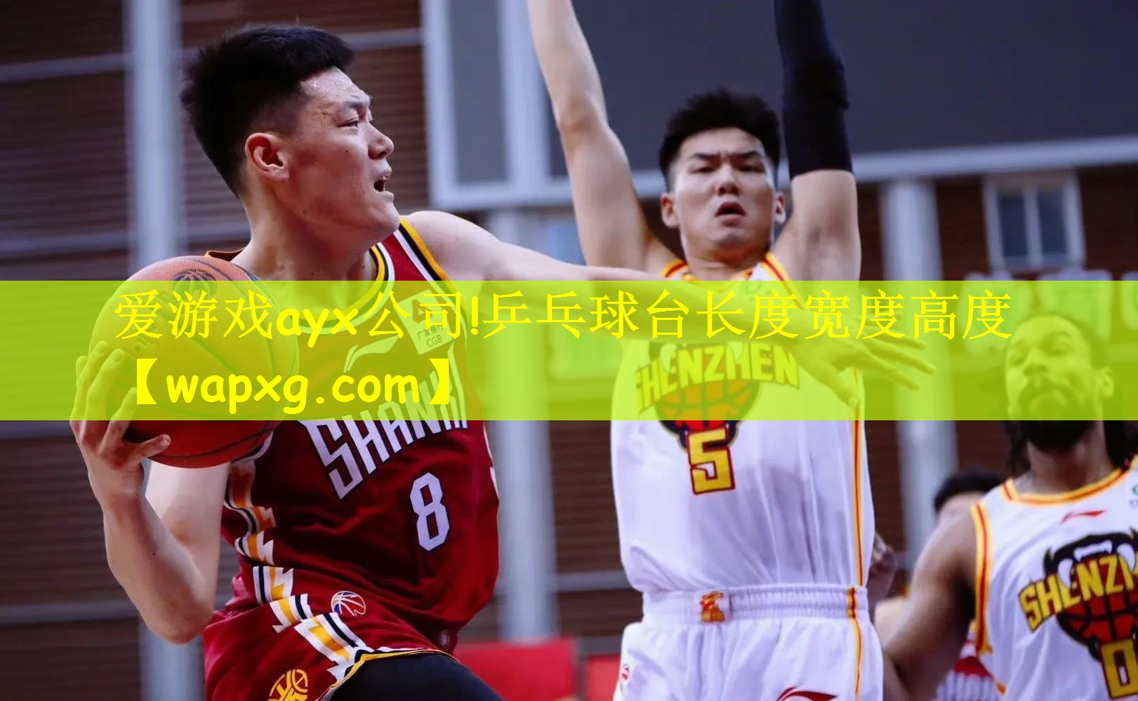 乒乓球台长度宽度高度