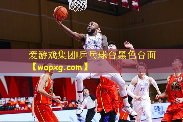 乒乓球台黑色台面