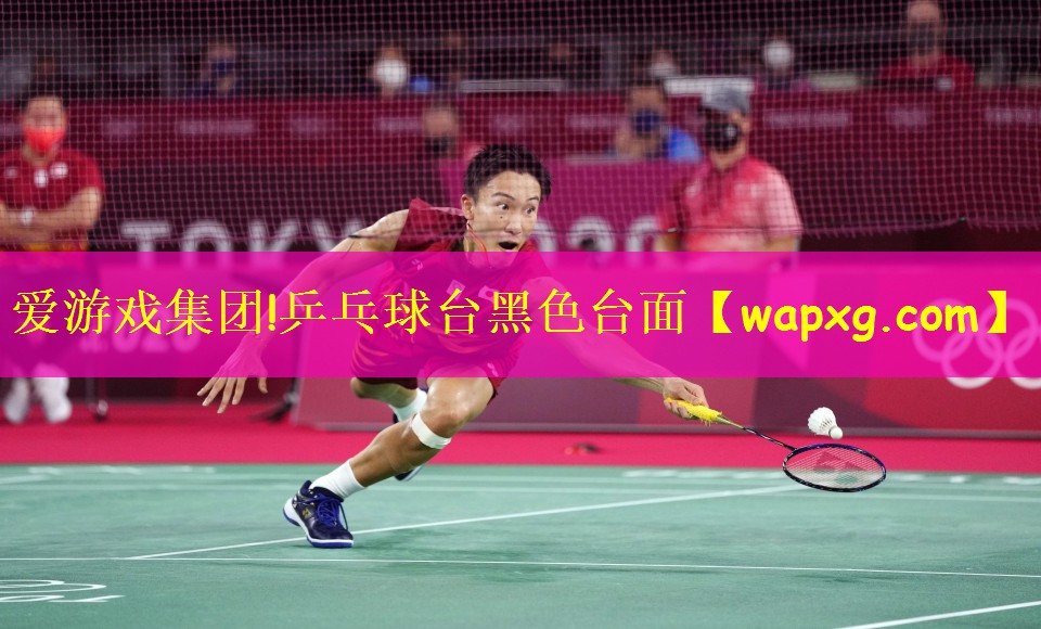 乒乓球台黑色台面