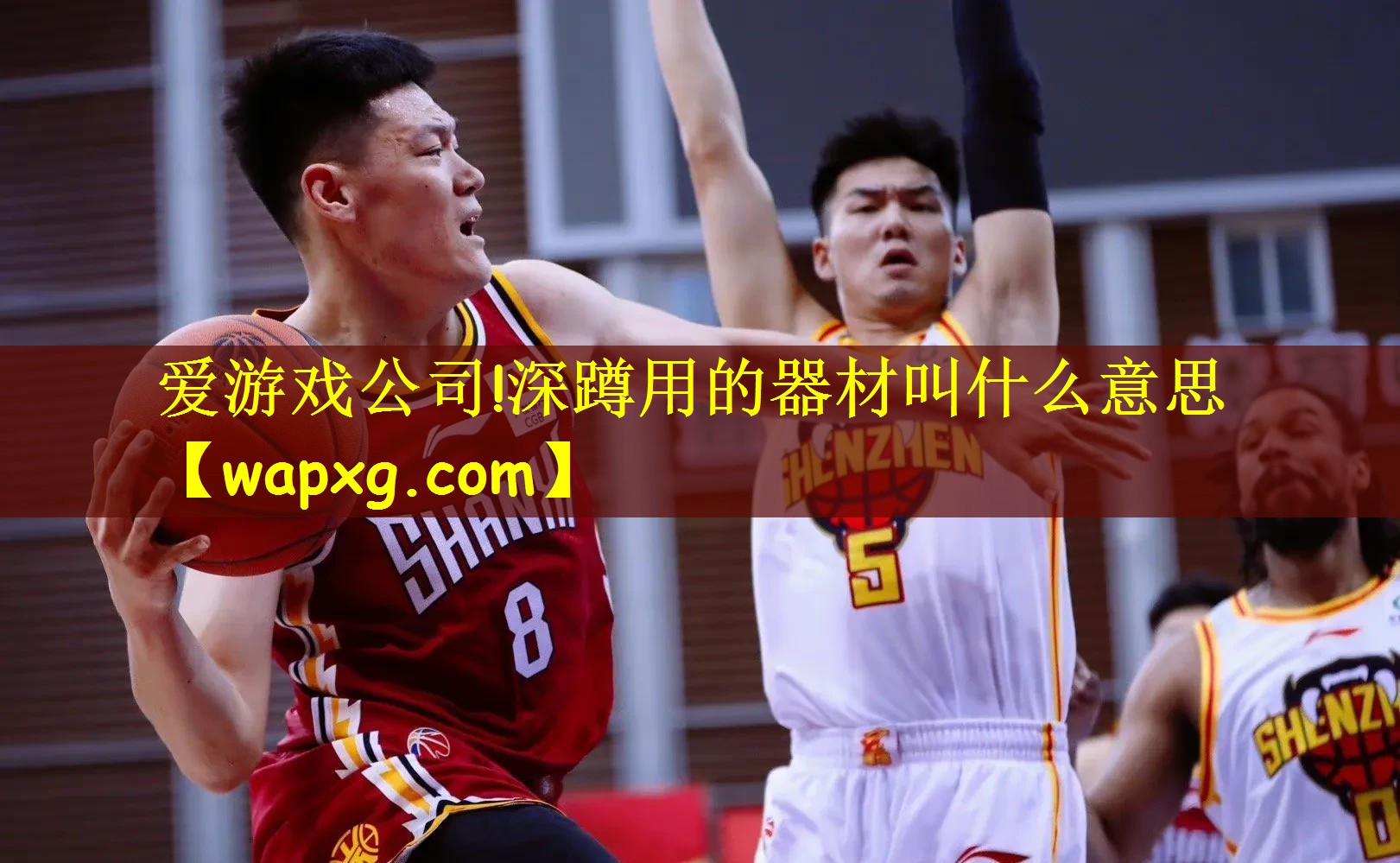 深蹲用的器材叫什么意思